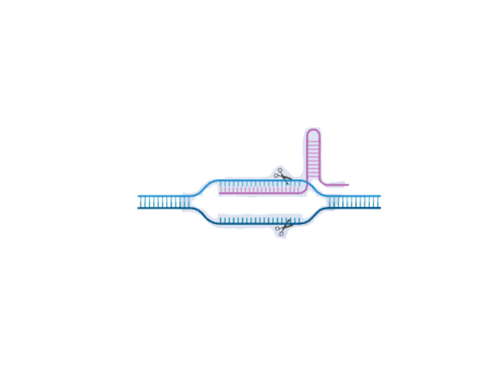 Ligase reaction tubes