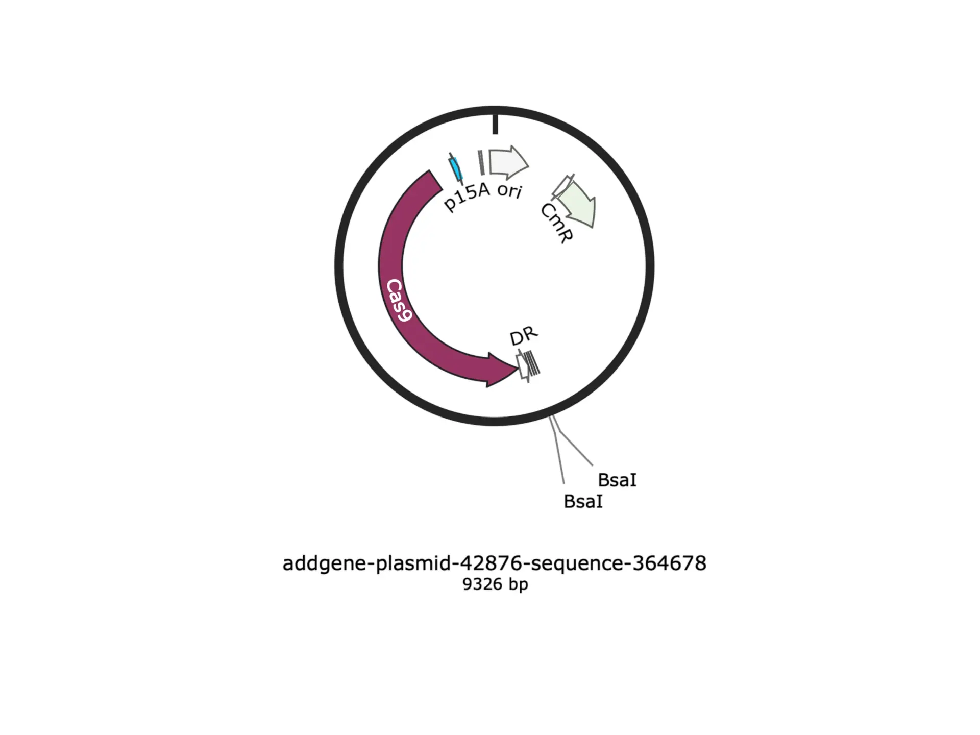 Transformation plates